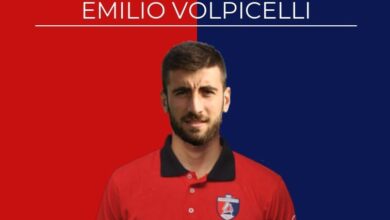 Volpicelli
