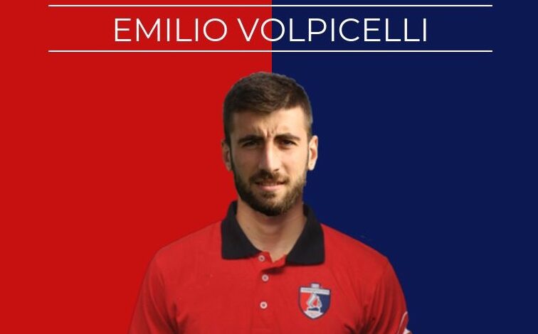 Volpicelli